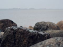 -上海吴淞炮台湾国家湿地公园