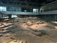 -自贡恐龙博物馆