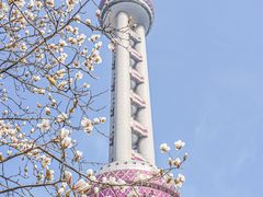 -上海港国际客运中心