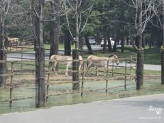 -秦皇岛野生动物园