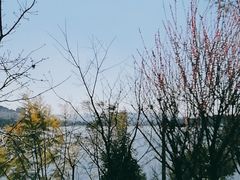 -安宁市宁湖森林公园
