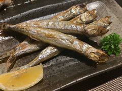 多春鱼-立山居酒屋·烧鸟 天妇罗(西北湖店)