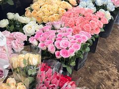 -桂林市花鸟市场