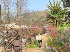 -桃源山庄·水蜜桃采摘·柴火鸡·烧烤团建(龙泉山店)
