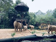 -广州长隆野生动物世界