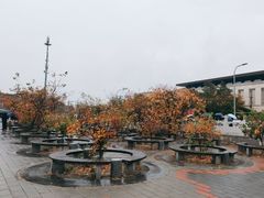 -香山公园