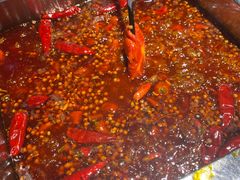 -二荆条·蜀鲜汇城市森林火锅