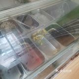 里面还有一些龟苓膏，没有特别惊艳吧