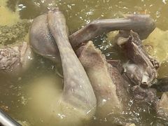 -鸽鸟轩(石岐店)