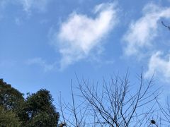 -武隆天坑寨子景区