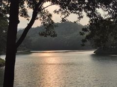 -红花湖景区