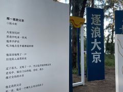 -大京沙滩