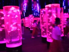 -成都浩海立方海洋公园