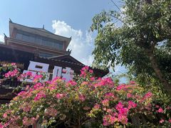 -正宗杨记普洱酸醋米线(总店)