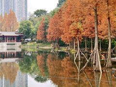 -重庆彩云湖湿地公园