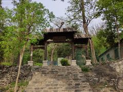 -阳台山自然风景区