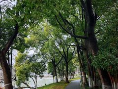 -南通濠河风景名胜区