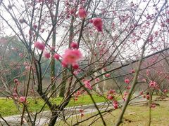 -采石矶景区