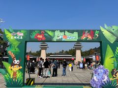 -东湖落雁景区