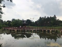 -黑龙江省森林植物园
