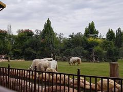 -郑州银基国际旅游度假区