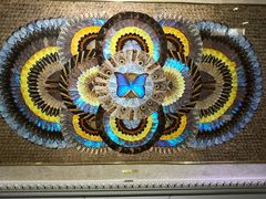 -上海昆虫博物馆