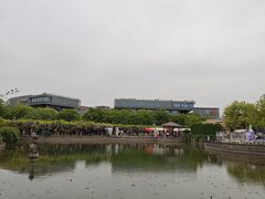 -嘉定紫藤园