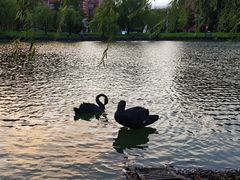 -中国计量大学(西校区)