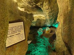 -游龙石文化科普馆