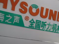 -海之声助听器(跃进南路赤坎店)