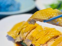 -Asianplus海蓝鸡饭