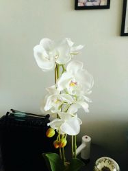 -赫本轻奢美颜中心