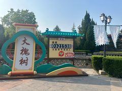 -大槐树寻根祭祖园