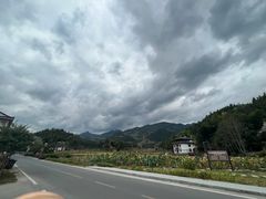 -紫鹊界梯田景区