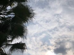 -西昌邛海湿地