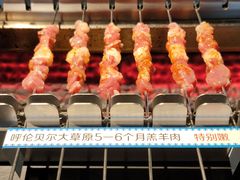 -很久以前羊肉串(朝阳路店)