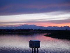 -新疆国际大巴扎