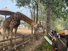 -大连森林动物园