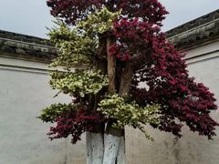 -天一阁博物院