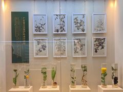-广东中医药博物馆