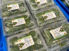 -王家沙点心店(万航渡路店)