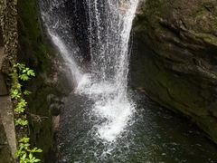 -牛背梁国家森林公园