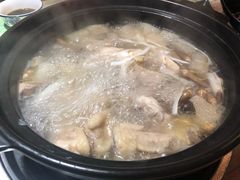 -探窝·竹笙椰子鸡(杨箕店)