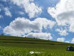 -关山草原
