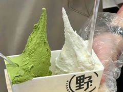 -野人先生现做冰淇淋(西安赛格店)
