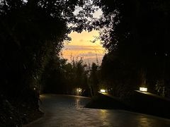 -三亚亚龙湾人间天堂鸟巢度假村