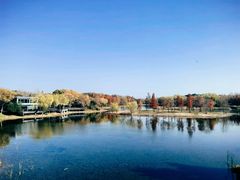 -贡湖湾湿地公园
