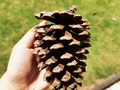 -同济大学(嘉定校区)