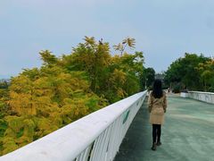 -飞凤山奥体公园