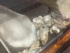 -蚝抵食·湛江生蚝(湾北路店)